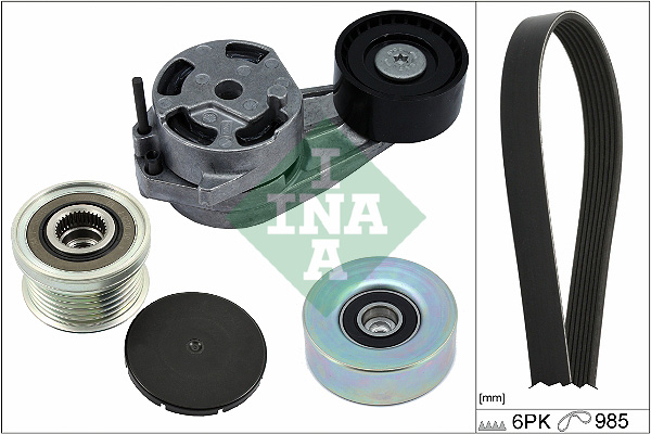 V-Ribbed Belt Set - 529 0482 20 Schaeffler INA