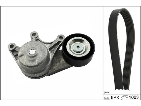 Kit Cinghie Poly-V - 529 0483 10 Schaeffler INA