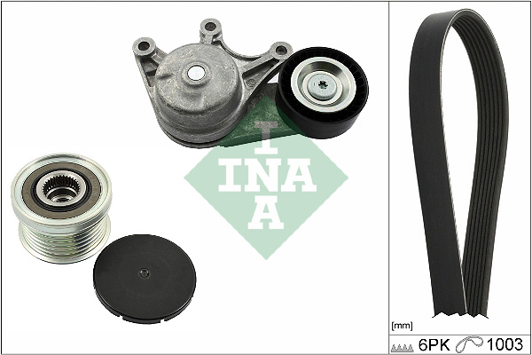 Kit Cinghie Poly-V - 529 0483 20 Schaeffler INA