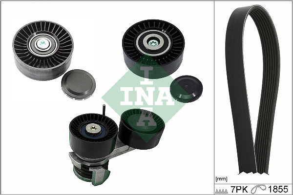 Kit Cinghie Poly-V - 529 0493 10 Schaeffler INA