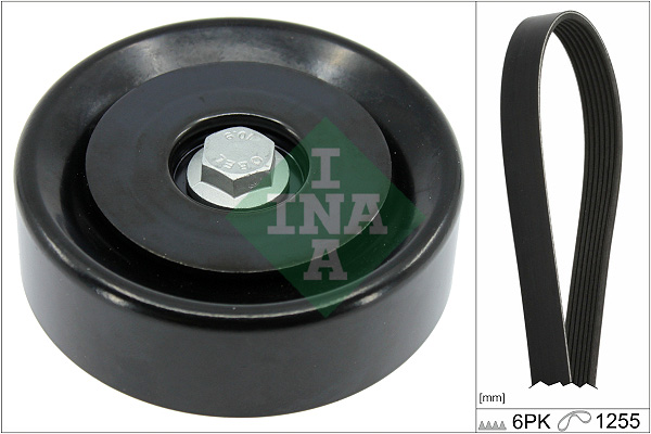 Kit Cinghie Poly-V - 529 0496 10 Schaeffler INA