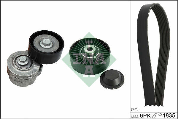 Kit Cinghie Poly-V - 529 0498 10 Schaeffler INA