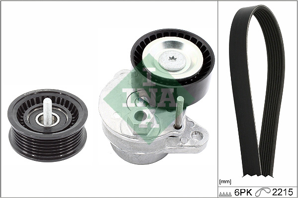 Kit Cinghie Poly-V - 529 0499 10 Schaeffler INA