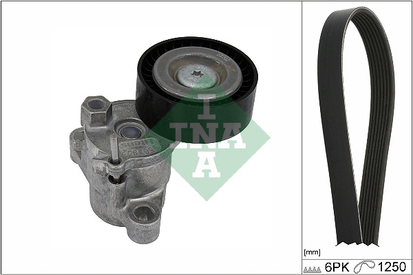 Kit Cinghie Poly-V - 529 0524 10 Schaeffler INA