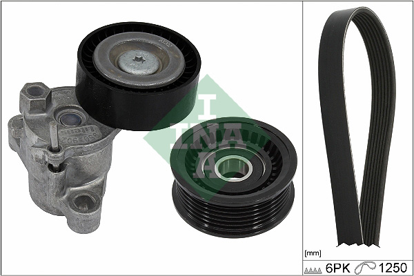 Kit Cinghie Poly-V - 529 0525 10 Schaeffler INA