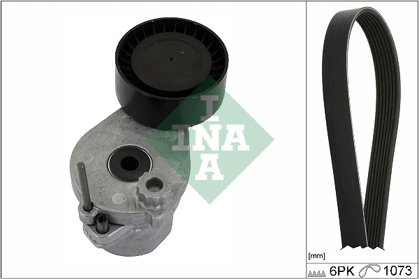 Kit Cinghie Poly-V - 529 0530 10 Schaeffler INA