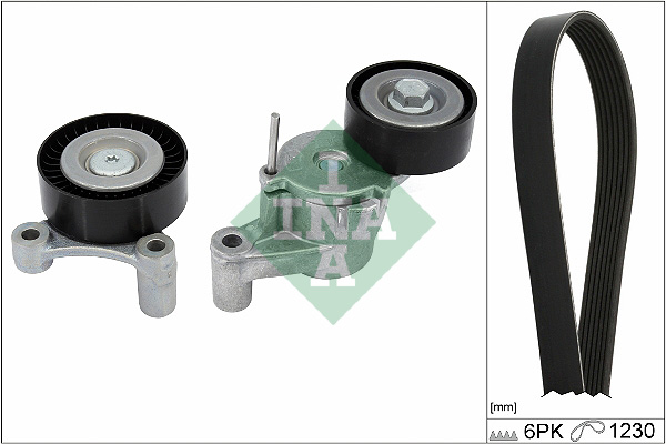 V-Ribbed Belt Set - 529 0548 10 Schaeffler INA