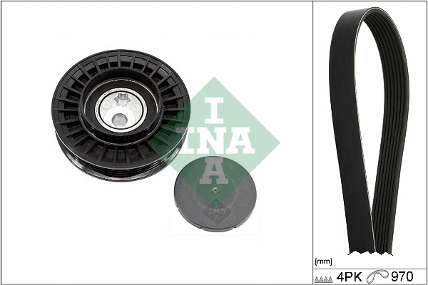 Kit Cinghie Poly-V - 529 0579 10 Schaeffler INA