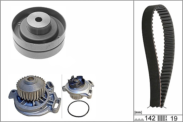 Water Pump & Timing Belt Set - 530 0156 30 Schaeffler INA