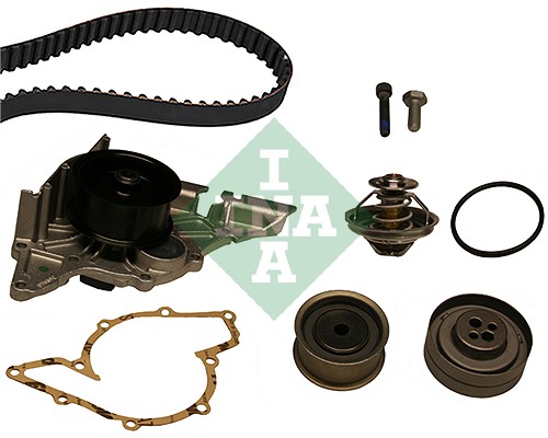 Water Pump & Timing Belt Set - 530 0161 30 Schaeffler INA