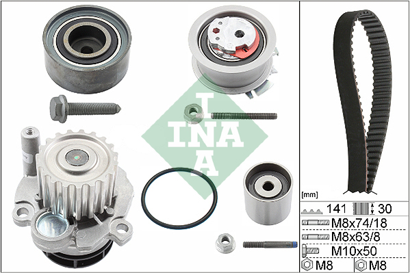 Water Pump & Timing Belt Set - 530 0405 30 Schaeffler INA