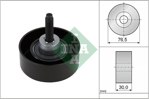 Galoppino/Guidacinghia, Cinghia Poly-V - 532 0458 10 Schaeffler INA