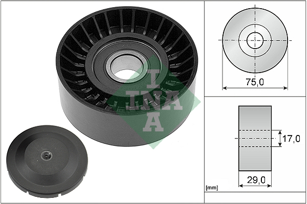 Galoppino/Guidacinghia, Cinghia Poly-V - 532 0536 10 Schaeffler INA