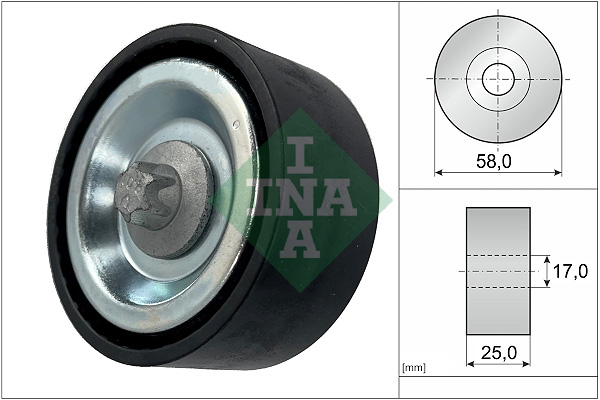 Galoppino/Guidacinghia, Cinghia Poly-V - 532 0669 10 Schaeffler INA