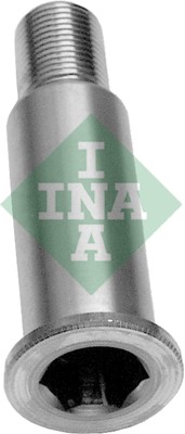 Bearing Journal, tensioner pulley lever - 533 0064 20 Schaeffler INA