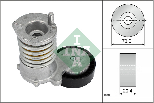 Tendicinghia, Cinghia Poly-V - 534 0030 10 Schaeffler INA