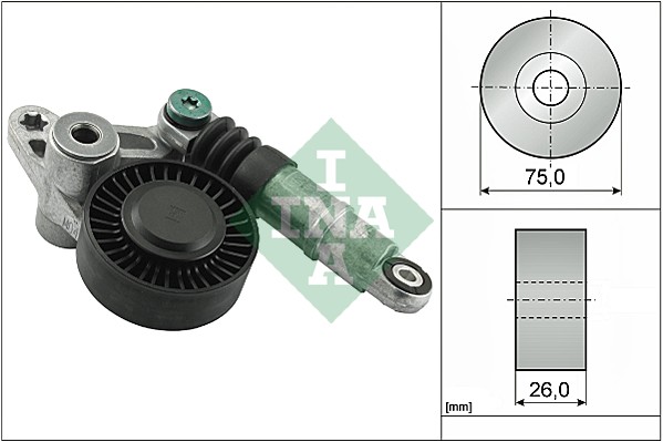 Натяжитель ремня, клиновой зубча - 534 0098 10 Schaeffler INA
