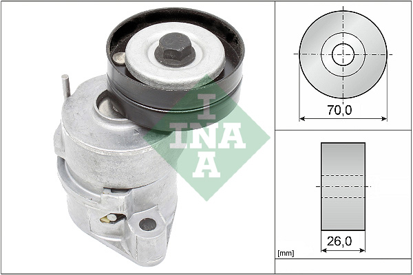 Tendicinghia, Cinghia Poly-V - 534 0102 30 Schaeffler INA