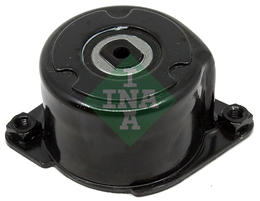 Tendicinghia, Cinghia Poly-V - 534 0170 10 Schaeffler INA