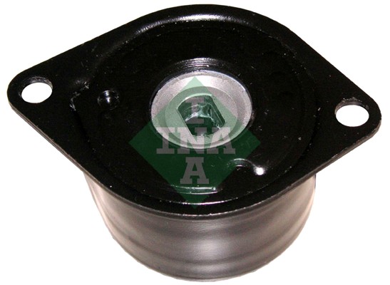 Tendicinghia, Cinghia Poly-V - 534 0172 10 Schaeffler INA