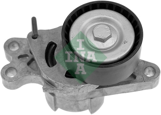Tendicinghia, Cinghia Poly-V - 534 0179 10 Schaeffler INA