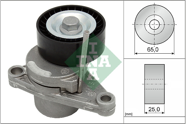 Tendicinghia, Cinghia Poly-V - 534 0250 10 Schaeffler INA