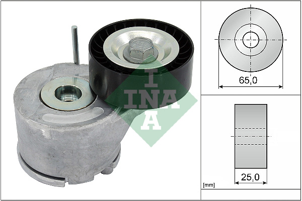 Tendicinghia, Cinghia Poly-V - 534 0455 10 Schaeffler INA