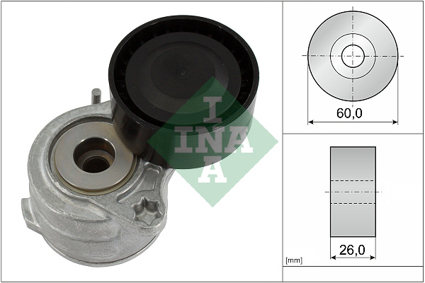 Tendicinghia, Cinghia Poly-V - 534 0653 10 Schaeffler INA