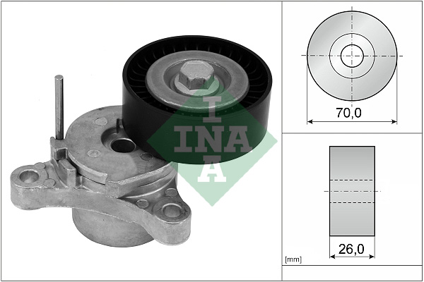 diržo įtempiklis, V formos rumbuotas diržas - 534 0666 10 Schaeffler INA