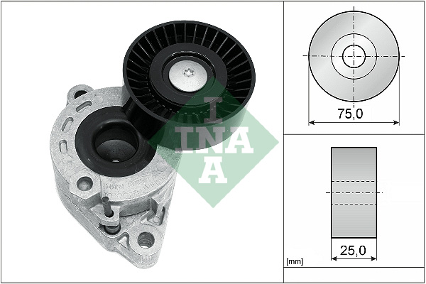 Tendicinghia, Cinghia Poly-V - 534 0721 10 Schaeffler INA
