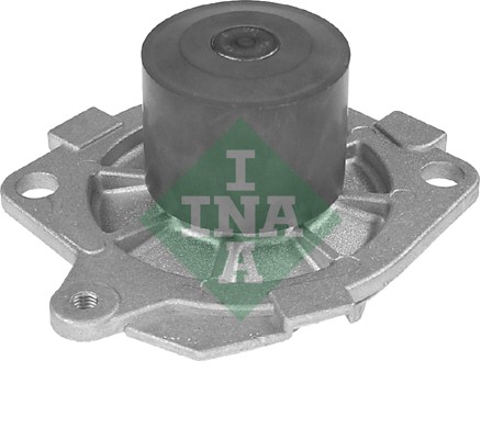 vandens siurblys - 538 0013 10 Schaeffler INA