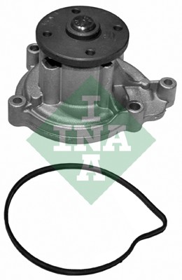 Pompa acqua - 538 0113 10 Schaeffler INA