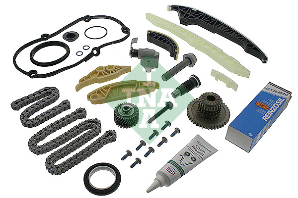 Kit catena distribuzione - 559 0196 40 Schaeffler INA