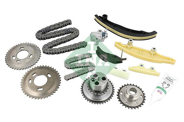 Timing Chain Kit - 559 1000 50 Schaeffler INA