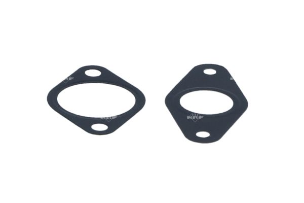 EGR Valve - 48322 NRF