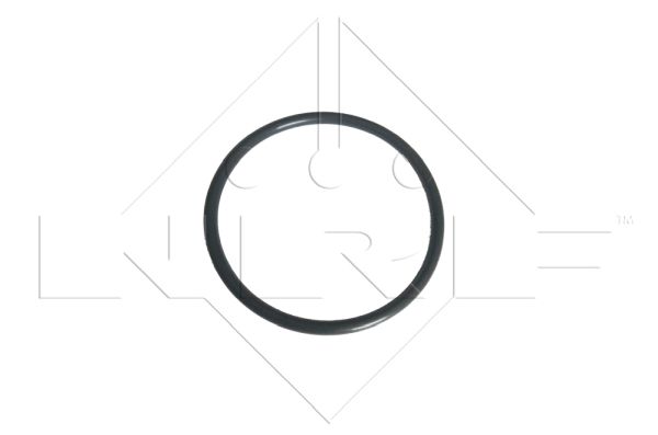 EGR Valve - 48347 NRF