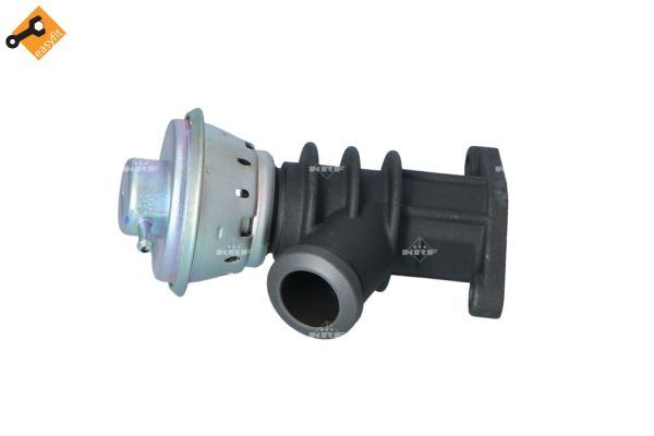 Valvola ricircolo gas scarico-EGR - 48387 NRF