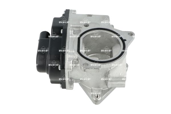 Valvola ricircolo gas scarico-EGR - 48389 NRF