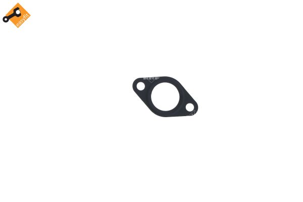 EGR Valve - 48389 NRF
