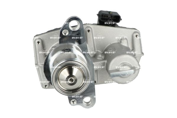 Valvola ricircolo gas scarico-EGR - 48725 NRF