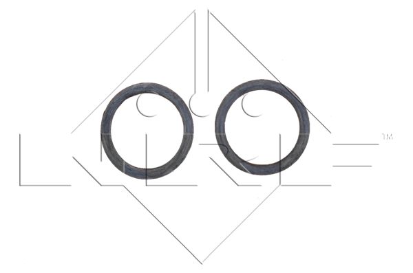 Радиатор, охлаждение двигателя - 539504 NRF