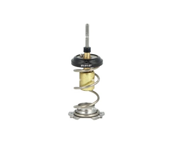 Thermostat, coolant - 725093 NRF