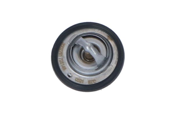 Thermostat, coolant - 725146 NRF