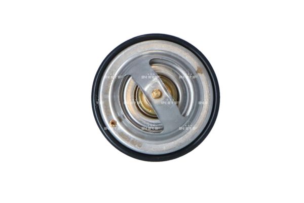 termostatas, aušinimo skystis - 725186 NRF