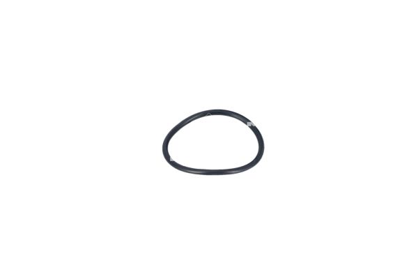 Thermostat, coolant - 725327 NRF