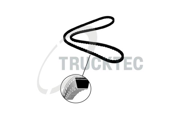 Cinghia trapezoidale - 01.19.183 TRUCKTEC AUTOMOTIVE