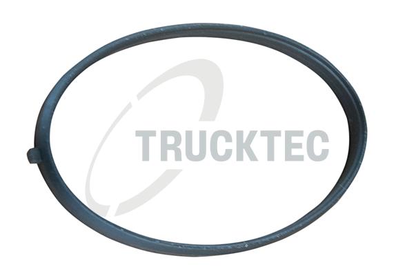 Guarnizione, Alloggiam. collettore aspirazione - 02.16.055 TRUCKTEC AUTOMOTIVE