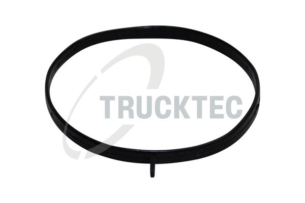 Guarnizione, Alloggiam. collettore aspirazione - 02.16.058 TRUCKTEC AUTOMOTIVE