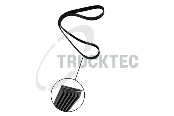 V-Ribbed Belt - 02.19.228 TRUCKTEC AUTOMOTIVE