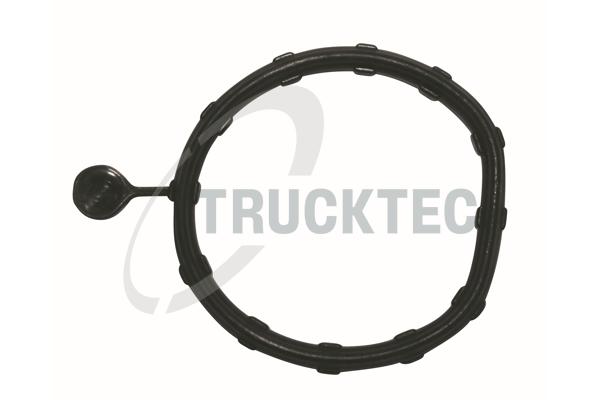 Seal, water box - 02.19.346 TRUCKTEC AUTOMOTIVE